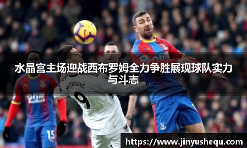 水晶宫主场迎战西布罗姆全力争胜展现球队实力与斗志